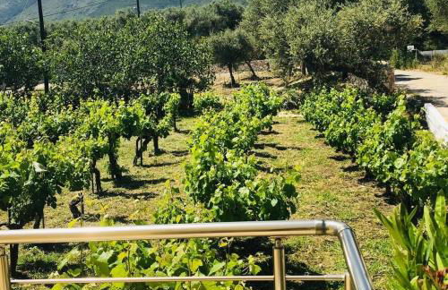 Beach House I&II - Foto 29