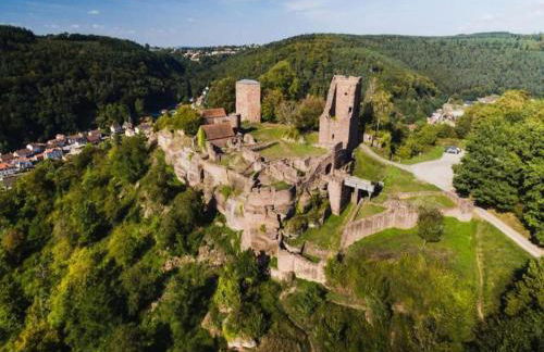 Chalet in Dabo near Castle Ruins - Photo 27