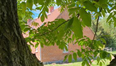 Forsthaus Zartwitzer Hütte - Foto 5, Garden