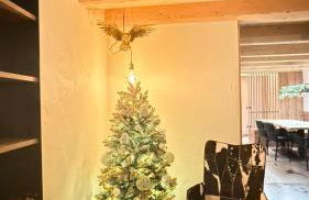 Maso K - Il Gufo Dorato - Foto 2