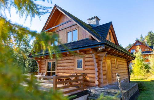 Chata na Kowalówkach - domek w górach - blisko szlaków i wyciągu - Foto 1