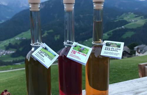 Alpinus Agriturism - Photo 13