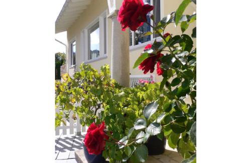 Allgäuvilla - Foto 41