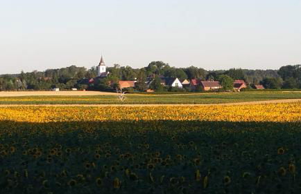 FeWo Schöna45 - Foto 22