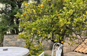 Villa sul Mare - Foto 6