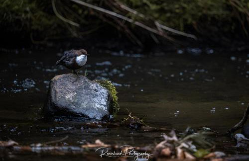Denkmal an Urlaub - Photo 28
