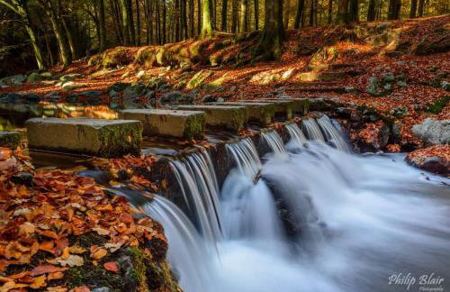 Bryansford Cottage Stables - Foto 26