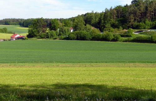 Landurlaub Wittmann - Foto 28