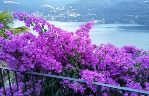 Simo House Stunning Lake View Balcony AC - Foto 10