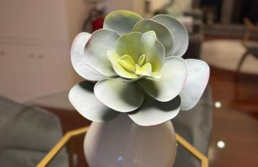 Quinta do Jasmim - Photo 6