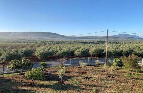 Village House - Monemvasia municipality - Foto 10