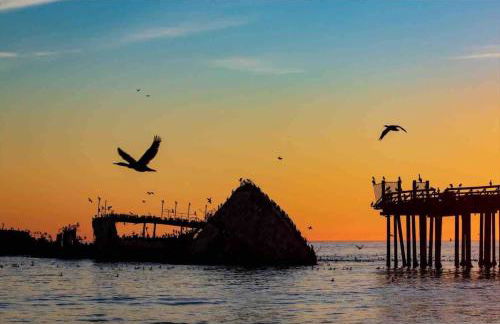 Aptos Beach Retreat Hot Tub & 5 Min Walk to Sand - Photo 28