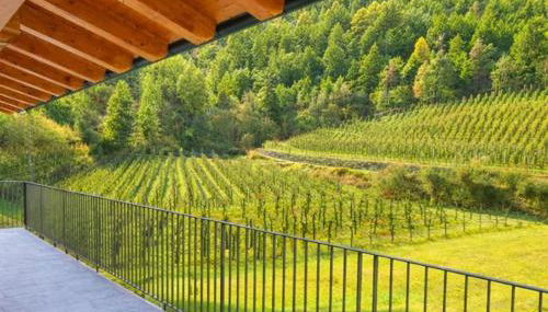 Putzenhof Apartments - Foto 3