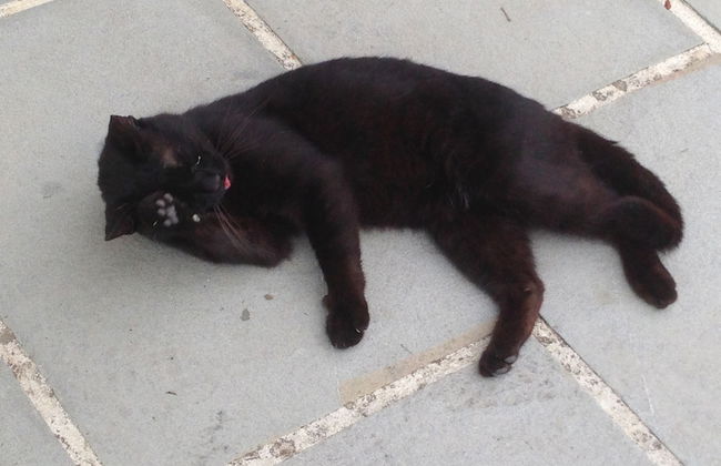 Historical Residence il Biribino 27 People - Foto 42