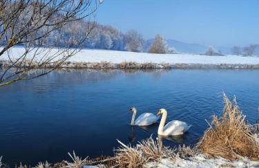 V's place - wooden house with heated pool and outdoor sauna - Foto 58