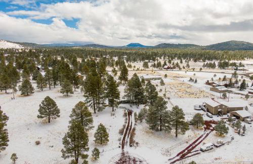 Wild Bill Retreat Treehouse Acre of Fun Near Grand Canyon Williams - Photo 39