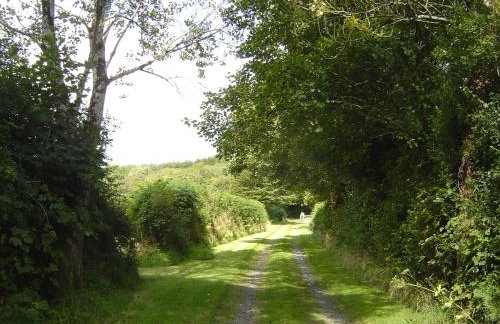 Holdstrong Farmhouse - Foto 8