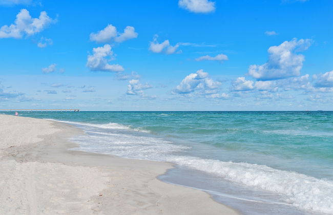 Walnut By The Sea - Photo 23