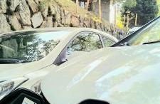 il larice d' oro - Foto 9