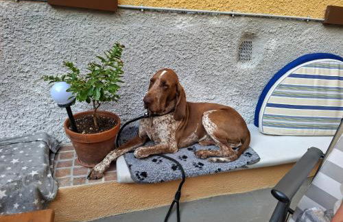 Villa Viola - Foto 42