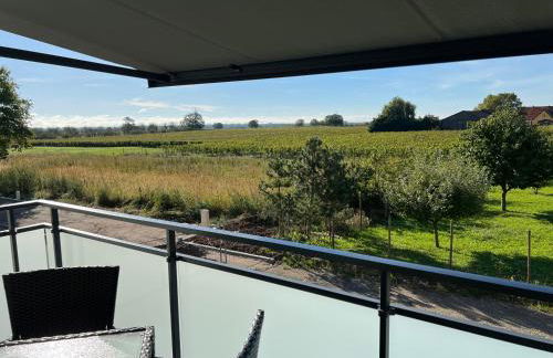 Oasis tout confort à Bergheim, Alsace - Foto 6