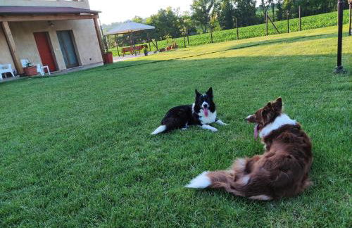 Casa Montefiore 13 Iris LT nella tranquilla campagna Marchigiana - Foto 23