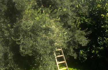 Il Giardino del sole - Foto 132