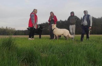 Różany Domek - Foto 24