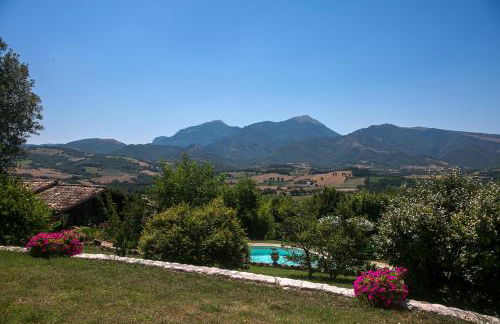 La collina dei ciliegi - Foto 9