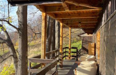 Chata pod 7 lipami - Photo 4