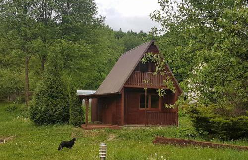 Malastow Mały Domek - Foto 6
