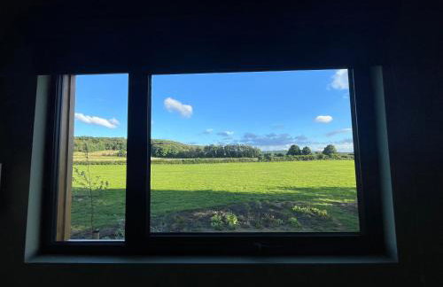 Unbox at Poplar Tree - Photo 67