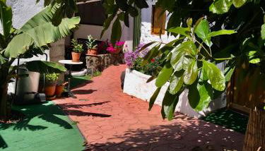 Finca Casa Madera 1 - Foto 3