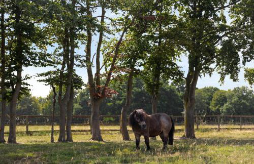 Merry Lakes - Luxury Lakeside Escape with Pool - Just 30 Minutes from London - Foto 73