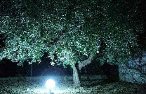 Cantina Loft - Foto 27