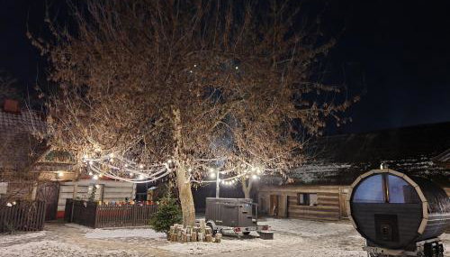 Gniazdo w Felicjanowie - Foto 3