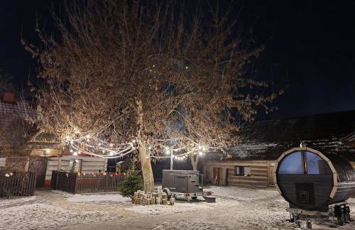 Gniazdo w Felicjanowie - Foto 3