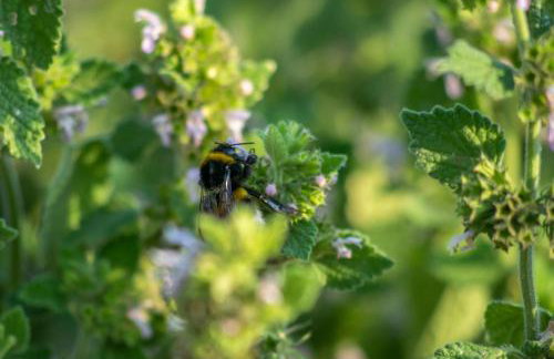 Villa Gambera - Photo 19