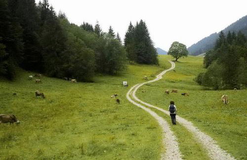 Ferienhaus Bausch - Photo 29