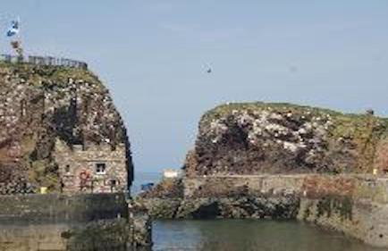 Caravan on Fantastic site - Foto 42