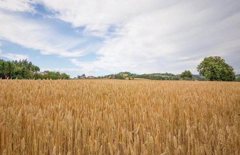 2 Bedroom Gorgeous Home In Montebuono - Foto 22