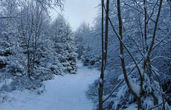 Beautiful Holidayhome With Sauna and Terrace - Photo 28