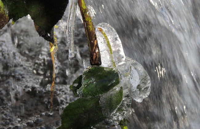 House in the Countryside on a Large Estate - Foto 22