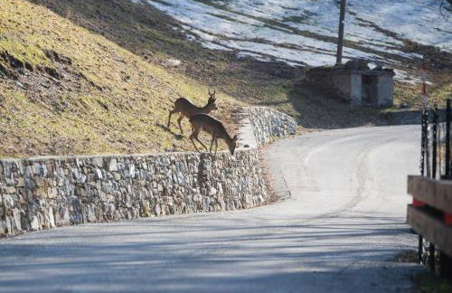 Casa Vacanze Grand-Haury da Andrea 2 - Photo 28