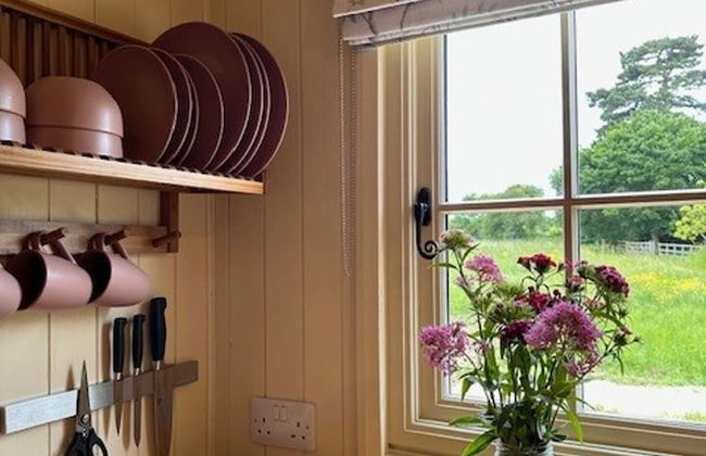 Shepherdshut-cotswolds-petfriendly-woodburner - Foto 18