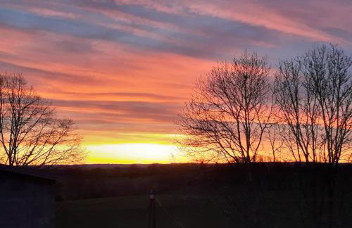 Le Nid des Avezous - Foto 2