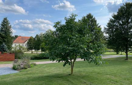 Ferienhaus Weisdin - Foto 7