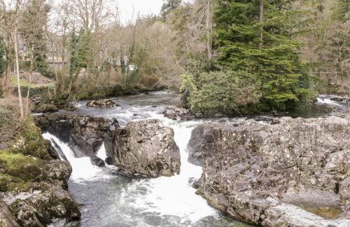 Bryn Dedwydd Cottage - Photo 24