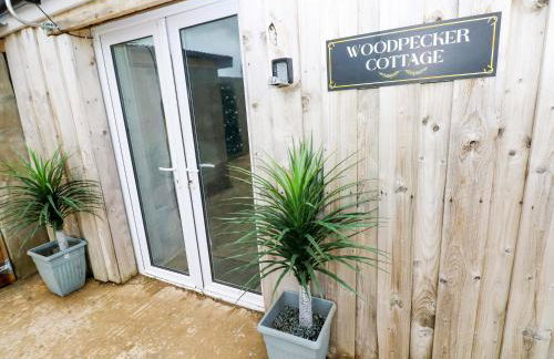 Woodpecker - Photo 2