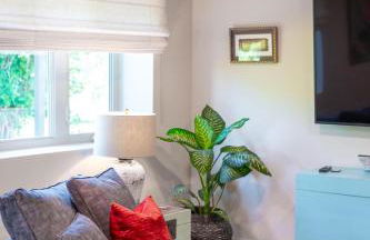 Elysium at Gracey Ln - Foto 27